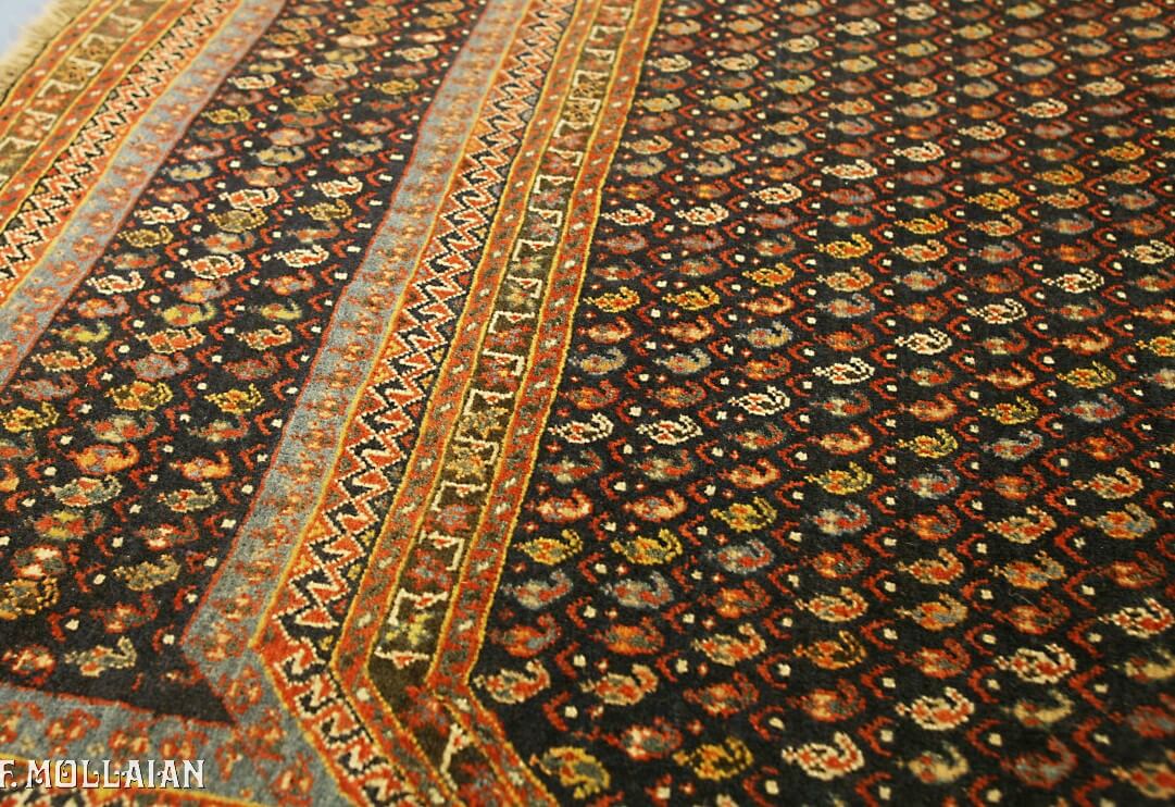 Alfombra Persa Antigua Kashkuli n°:82925572